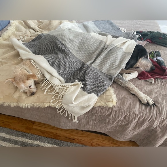 Meet your Posher, Tracey - Picture 12 of 14